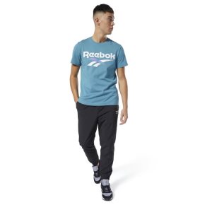 Koszulki Męskie Reebok Classic Vector Zielone PL 13EVUKD